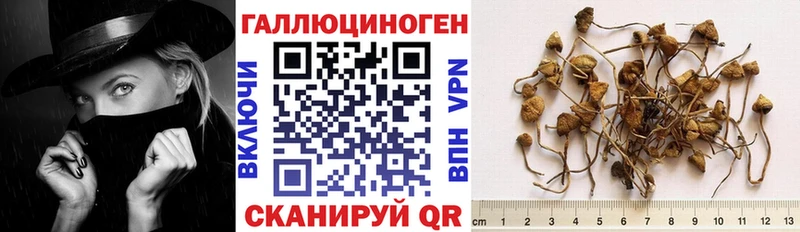 Галлюциногенные грибы мухоморы  Купить закладки  Анжеро-Судженск 